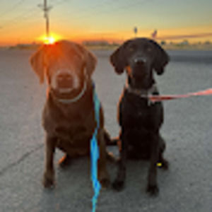 Meet your Posher, Bailey marie